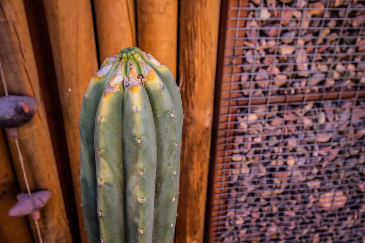 Hotel Casa Algarrobo San Pedro de Atacama Luaran gambar